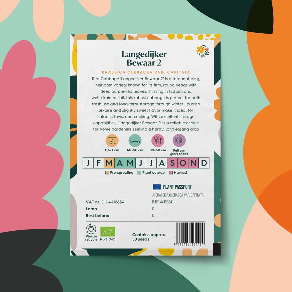 Rødkål 'Langedijker Bewaar 2' (frø)